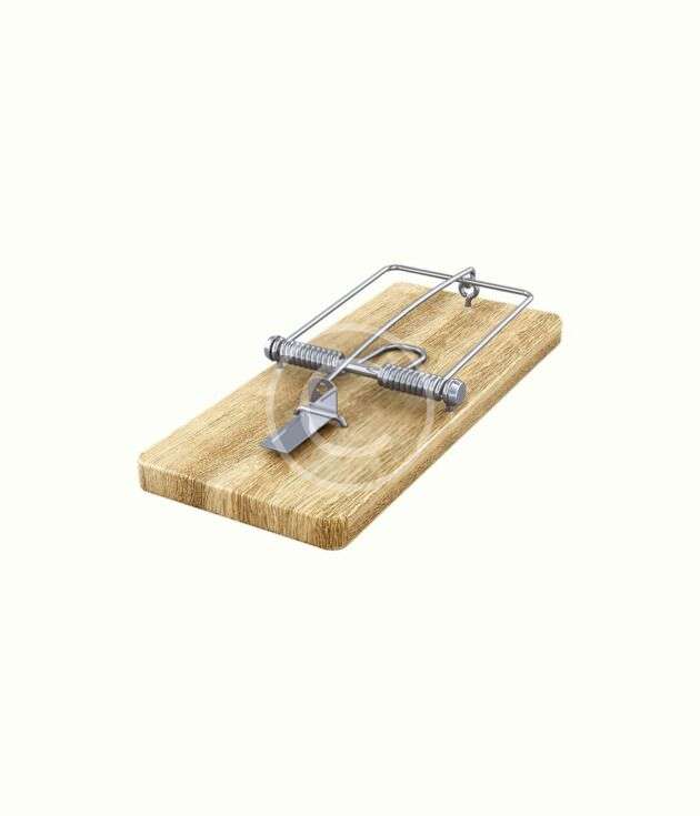 Classic wooden mouse trap